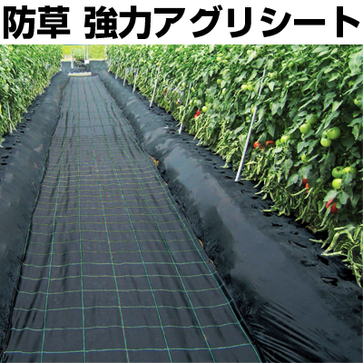 個人宅OK 防草シート 1.5m 日本ワイドクロス 強力アグリシート
