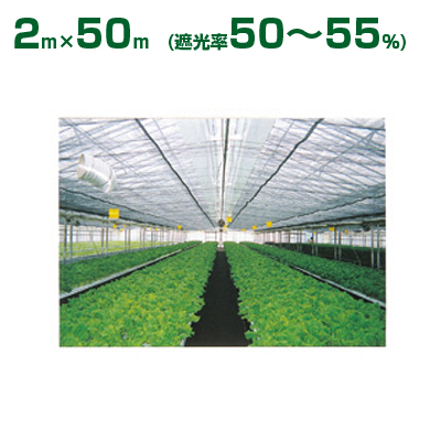 ダイオ化成 遮光ネット シルバーグレイ ダイオネット 810SG（遮光率50～55%） 2m×50m(農業用)(園芸用)(代引不可) 遮光率50％以上  アグリズ
