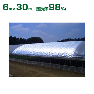 ダイオ化成 遮光ネット シルバー ダイオ農涼シート 2号（遮光率98%）6m