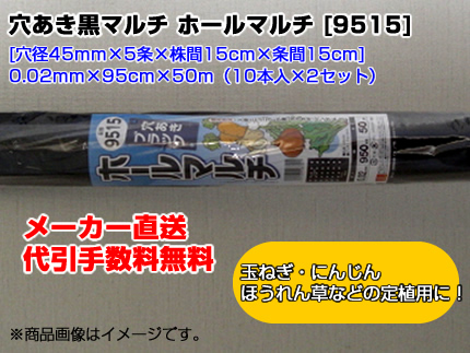 シンセイ 穴あき黒マルチ ホールマルチ 9515 0 02mm 95cm 50m 穴径45mm 5条 株間15cm 条間15cm 10本入 2セット 農業資材 園芸資材 マルチング ガーデニング 家庭菜園 農園 Diy