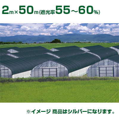 個人宅配送OK】日本ワイドクロス 遮光ネット ワイドスクリーン S1208 シルバー 遮光率55～60% 2m×50m  (農業用)(園芸用)(農業資材)(家庭菜園)(ベランダ)(日除け)(200cm) 遮光率50％以上 アグリズ