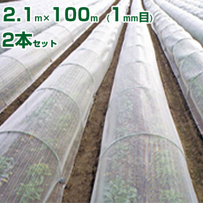 ܲ޸۽ hݻȯ EX2000 2.1x100m 1mm 90% 2{