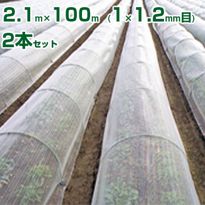 ܲ޸۽ ݻȯ  GB515 2.1x100m 1x1.2mm 55~60% 2{